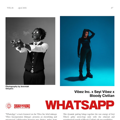 Vibez Inc. - WhatsApp