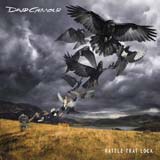 David Gilmour - All Lovers Are Deranged