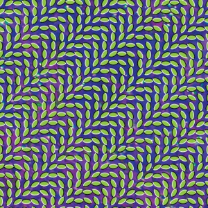 Animal Collective and Ami Dang - Suspend The Time