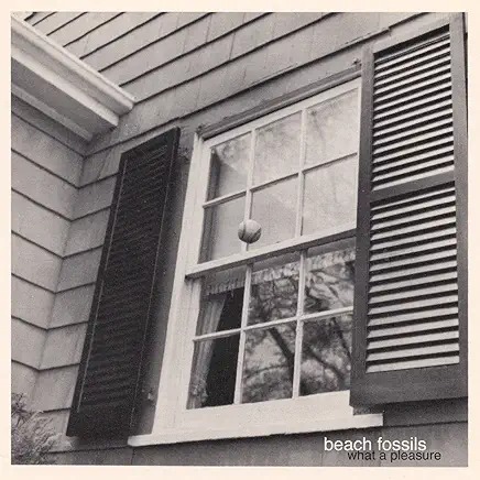 Beach Fossils - Anything Is Anything