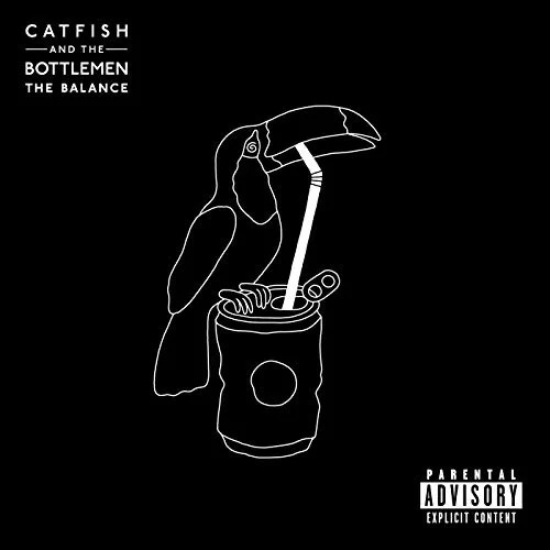 Catfish and the Bottlemen - Fluctuate