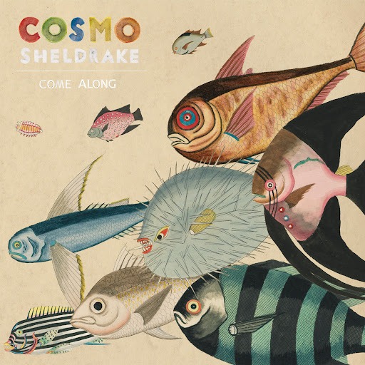 Cosmo Sheldrake