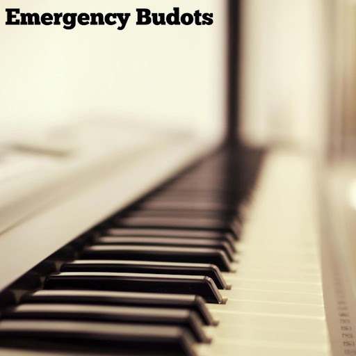 Emergency Budots