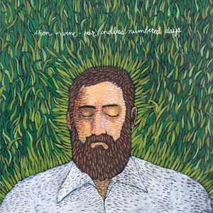 Iron & Wine - Sea And The Rhythm