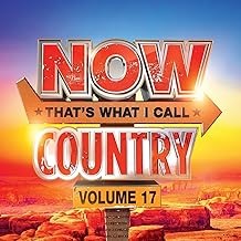 NOW That's What I Call Country, Volume 17