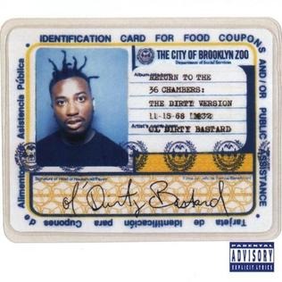 Ol Dirty Bastard - Hippa To Da Hoppa