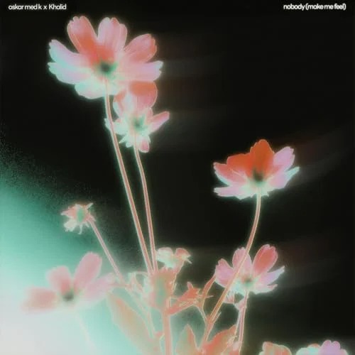 oskar med k - nobody (make me feel)
