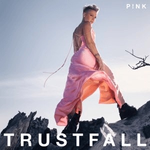 P!nk - Stop Falling