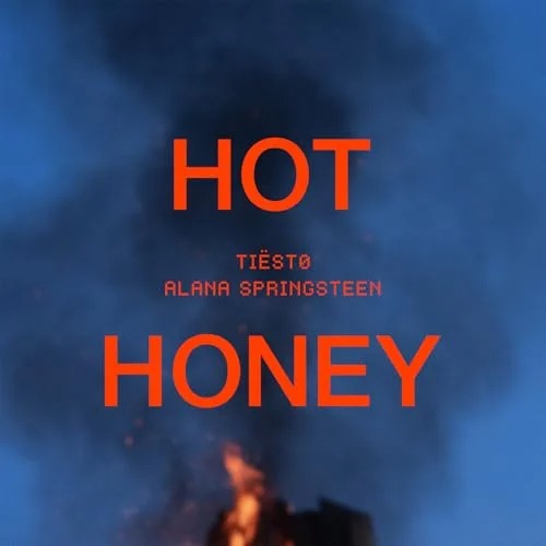 Tiesto - Hot Honey