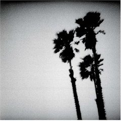 The Twilight Singers - The Killer