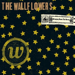 The Wallflowers - Ashes To Ashes