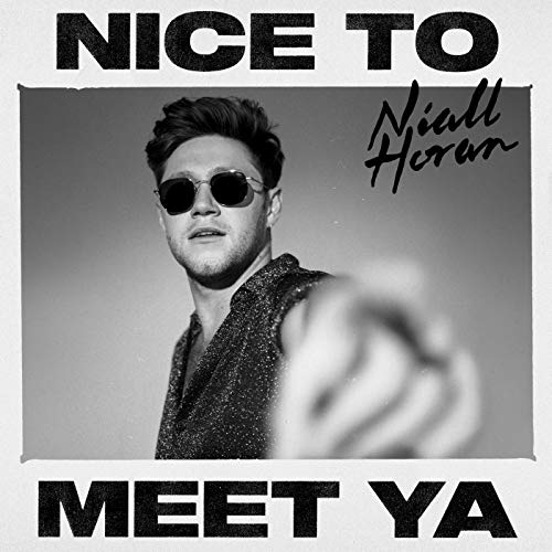 Niall Horan - Bend the Rules Lyrics - Lyrics On Demand